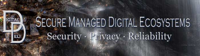 DigitalDeli.biz Properties & Brands Imprint, Secure Managed Digital Ecosystems