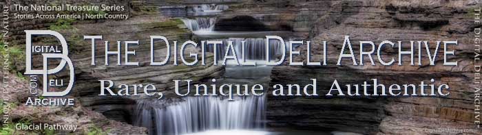 DigitalDeliArchive.com Properties & Brands Imprint, Rare, Unique and Authentic