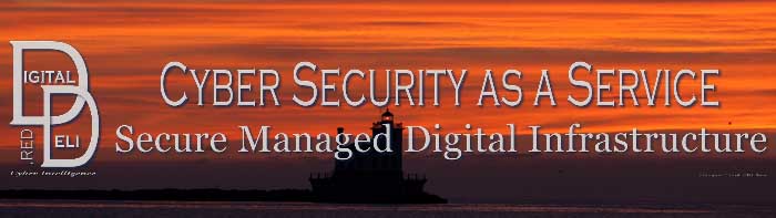 DigitalDeli.red Properties & Brands Imprint, Cyber Security As A Service