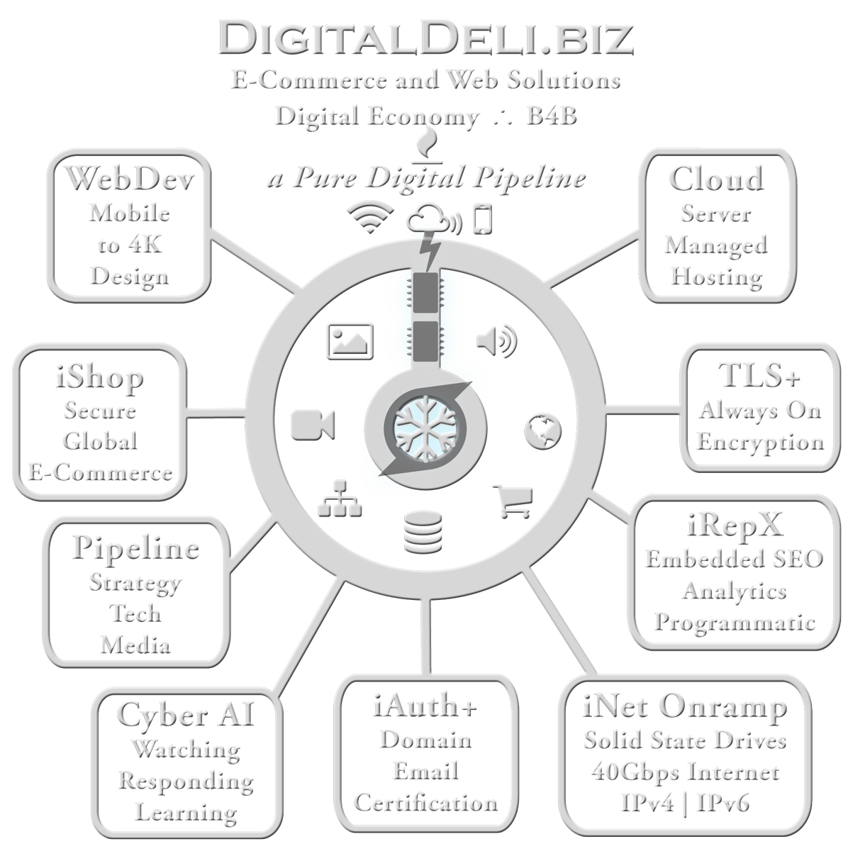 DigitalDeli.biz Domain Map